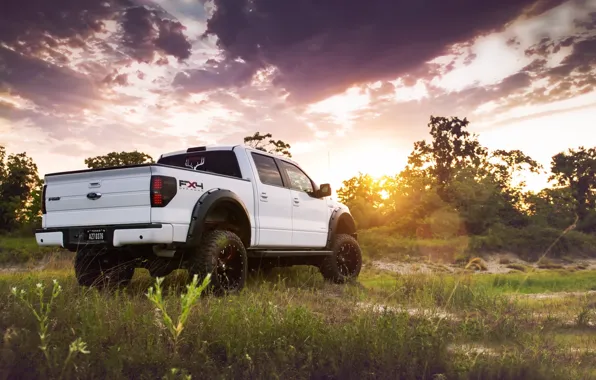 Picture white, the sky, grass, the sun, trees, tuning, Ford, Ford