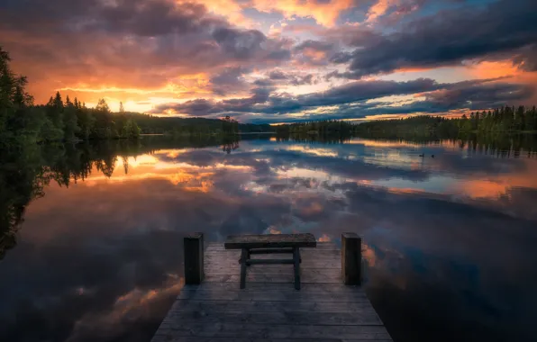 Picture beauty, Norway, Norway, Ringerike, Wooden Stool