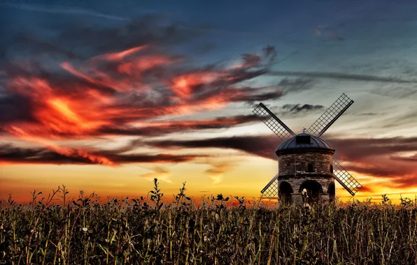 Picture field, sunset, mill