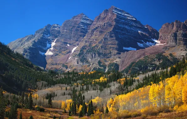 Picture forest, mountains, tops, Colorado, Aspen