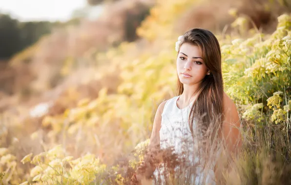 Autumn, girl, nature