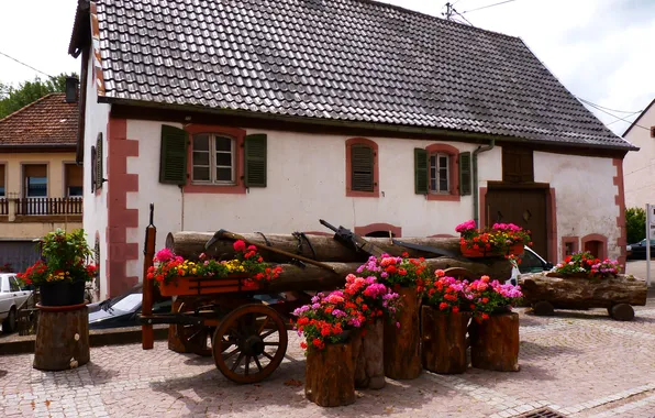 Picture flowers, house, France, logs, instrumento, wagon, pots, begonias