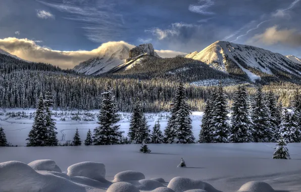 Winter, landscape, mountains