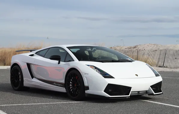Picture white, white, wheels, gallardo, lamborghini, black, side view, Lamborghini