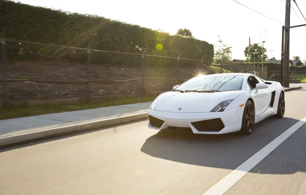 Picture road, white, the sky, speed, shadow, white, gallardo, lamborghini