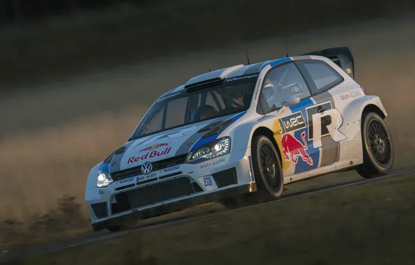 The evening, Volkswagen, Speed, Red Bull, WRC, Rally, Rally, Polo