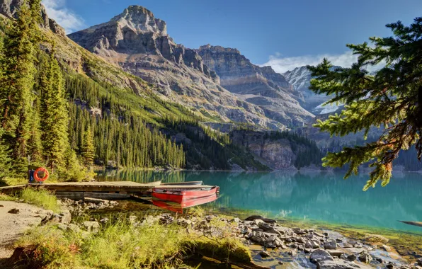 Picture forest, mountains, lake, Marina, boats, ate, Canada, Canada