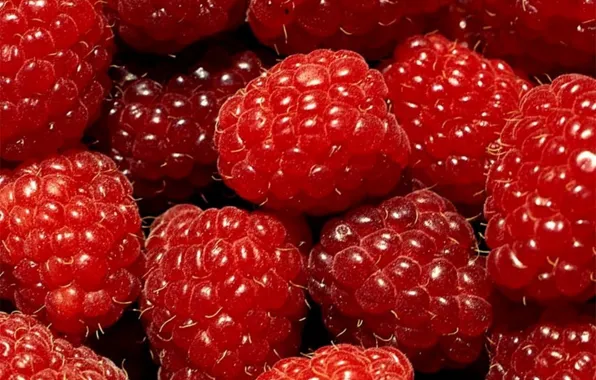 Macro, berries, raspberry