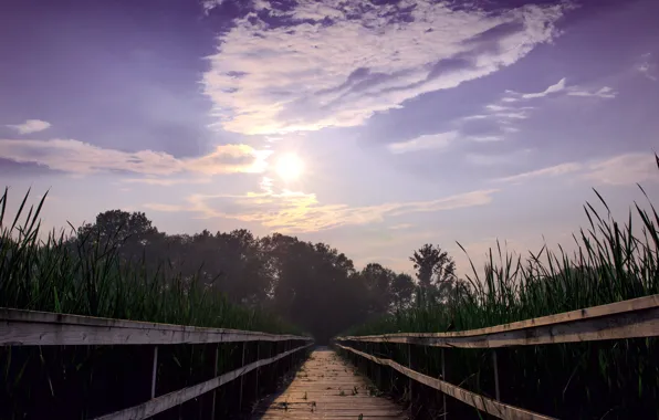 Picture the sky, landscape, bridge, lake