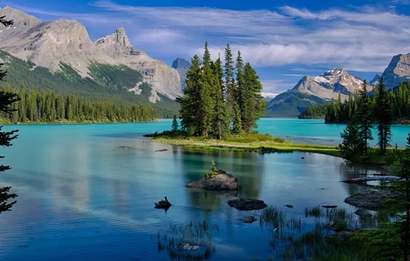 Forest, mountains, lake, shore, ate, Canada, Albert, pond