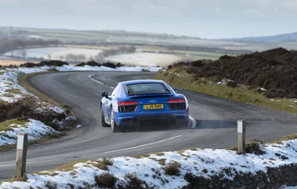 Audi R8, rear view, 2018, V10, RWS