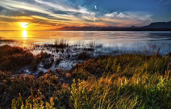 Picture grass, the sun, clouds, sunset, lake, horizon