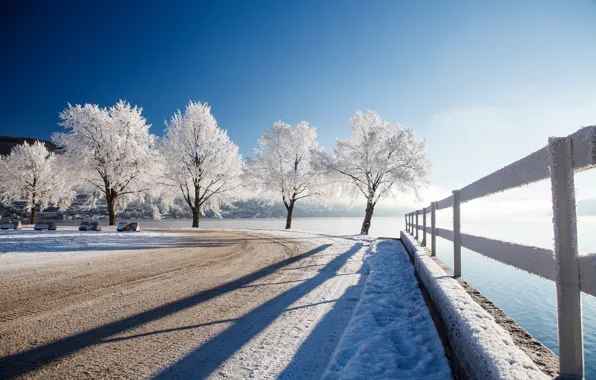 Winter, road, the fence