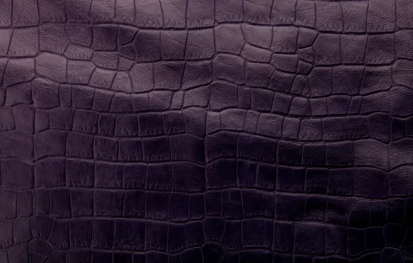 Leather, texture, leather, purple, crocodile skin