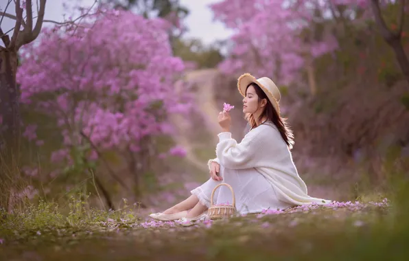Look, girl, nature, pose, Asian, Nick Vison