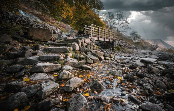 Picture autumn, forest, the sky, leaves, trees, mountains, clouds, bridge