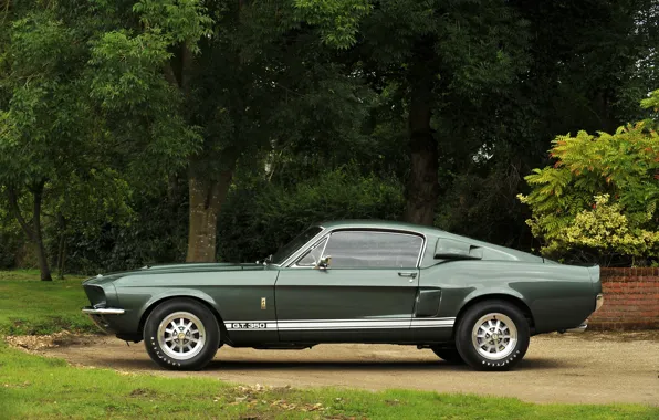 Ford Mustang, side view, 1967, Muscle Car, Shelby GT350