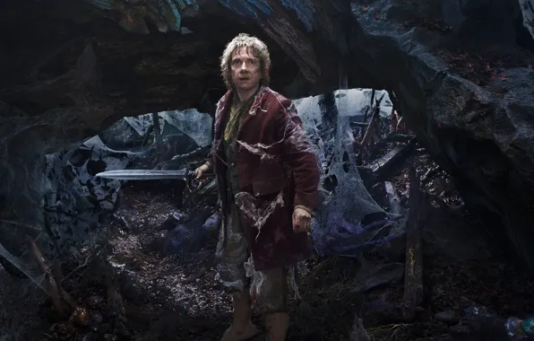 Picture web, sword, fantasy, Martin Freeman, Martin Freeman, The Hobbit: An Unexpected Journey, The hobbit: an …