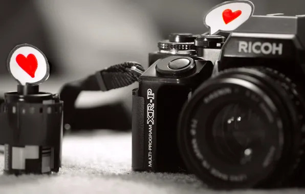 Macro, love, paper, heart, camera, the camera, film, lens