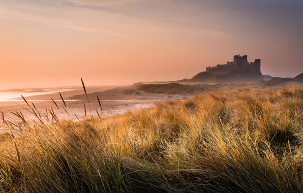 Picture grass, castle, shore