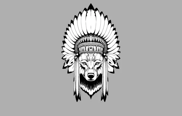 Wolf, minimalism, head, feathers, Indian, wolf, indian
