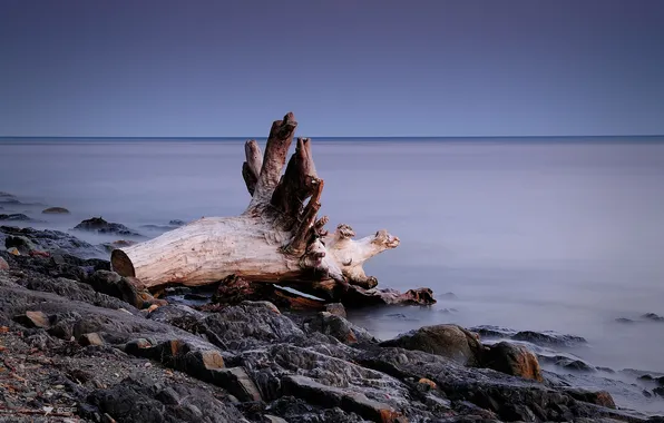 Sea, the sky, stones, shore, the evening, snag