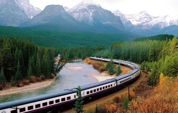 Picture forest, mountains, nature, river, train, cars, composition