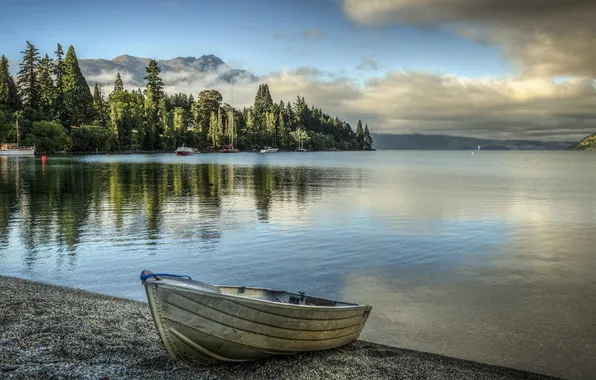 Picture forest, summer, the sky, clouds, nature, river, shore, boat