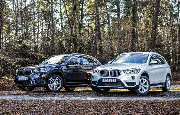 Picture BMW, BMW, crossover, F48