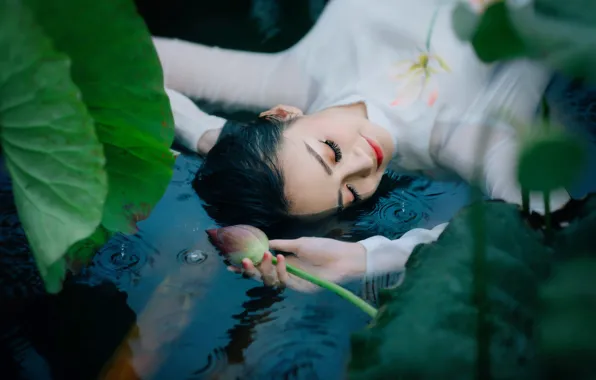 Picture water, girl, flowers, face, sleep, Lotus, sleeping, Asian