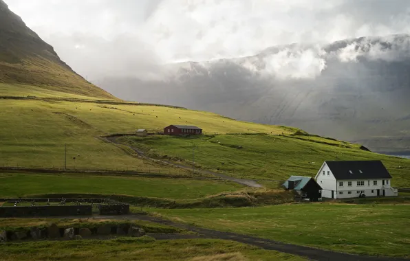 Road, greens, field, clouds, light, mountains, fog, house