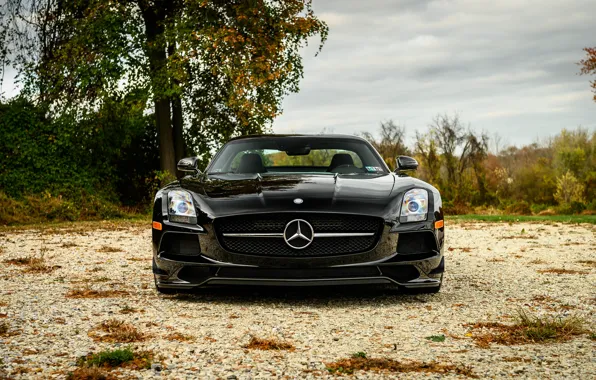 Picture Mercedes, Nature, Front, AMG, Black, SLS, Sight