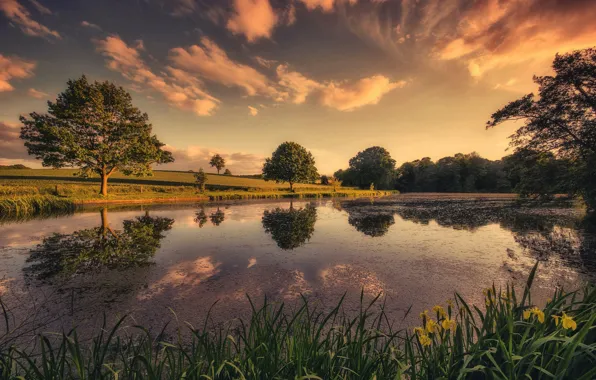 Picture clouds, trees, lake, pond