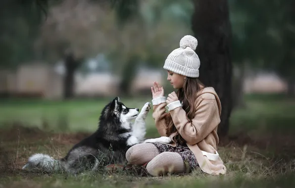 Picture autumn, animal, the game, dog, girl, puppy, coat, child