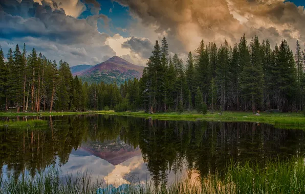 Forest, the sky, clouds, reflection, mountains, lake, USA, Yosemite national Park