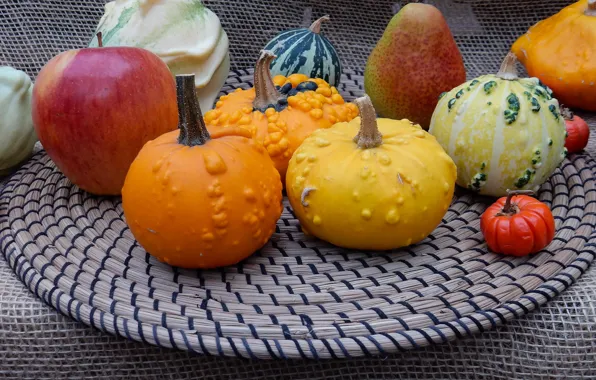 Autumn, widescreen, harvest, pumpkin, pumpkin, exhibition, wallpaper, widescreen