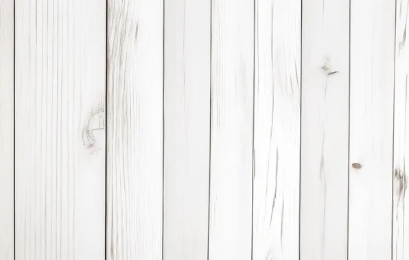 White, tree, Wallpaper, wooden, wallpaper, white, tree, wooden