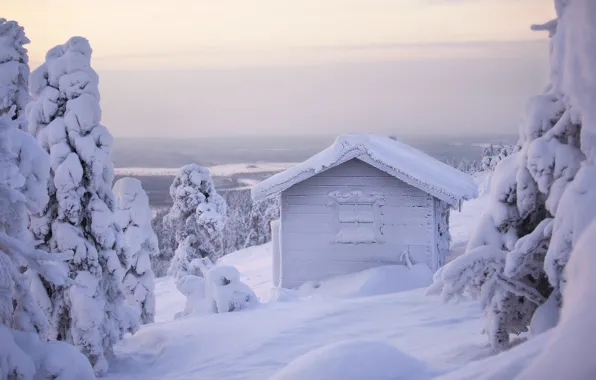 Winter, forest, white, the sky, snow, nature, house, in the snow