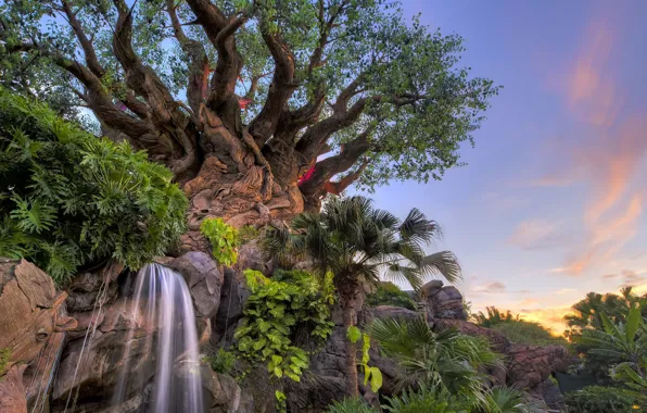 Trees, Park, waterfall, FL, Florida, Disney world, Disney's Animal Kingdom, Walt Disney World Resort