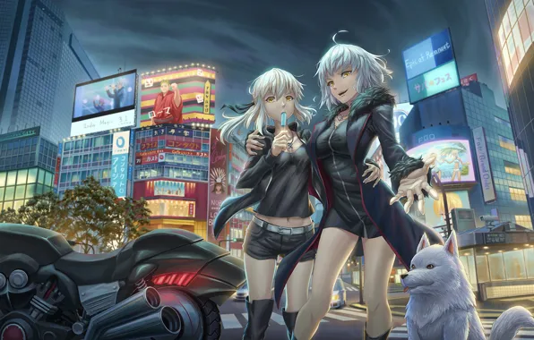 The city, girls, dog, advertising, Fate / Grand Order, The destiny of a great campaign