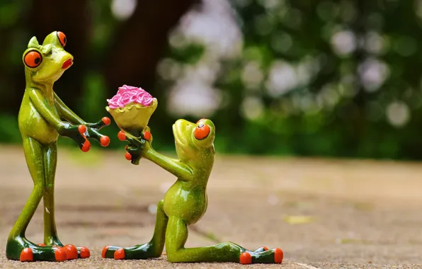 Picture love, flowers, gift, toys, frog, bouquet, pair, frogs