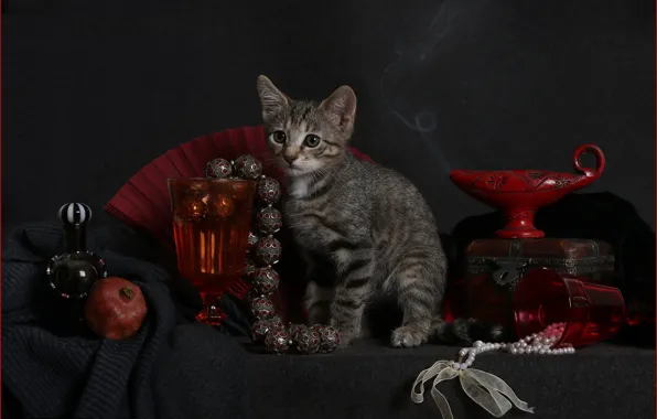 Cat, balls, red, the dark background, kitty, grey, smoke, glass