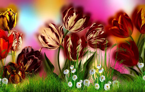 Graphics, Flowers, Easter, Easter eggs, Zajązecek