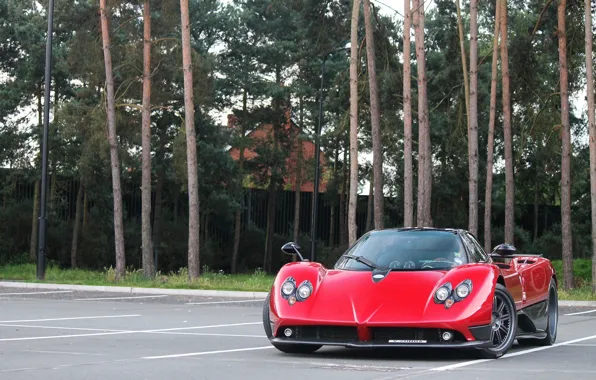 Picture trees, red, Parking, red, Pagani, Zonda, probe, Pagani