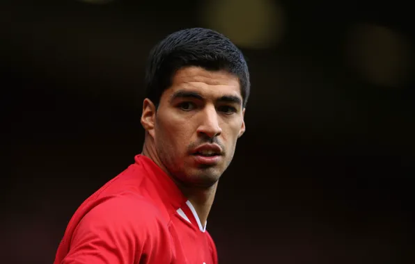 Sport, Football, Football, Liverpool, Liverpool, YNWA, Sport, Luis Suarez