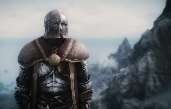 Picture Hero, Warrior, Skyrim, The Elder Scrolls V: Skyrim, Bethesda Softworks, Video Game, Hedge Knight Armor, …