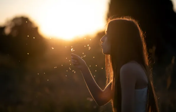 Picture girl, sunset, dandelion, Mar Kalina
