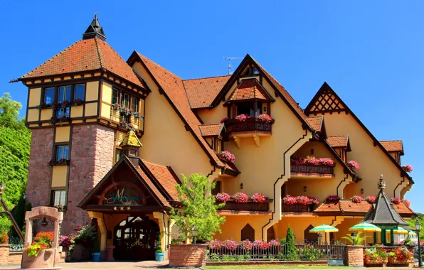 Flowers, design, France, home, Alsace