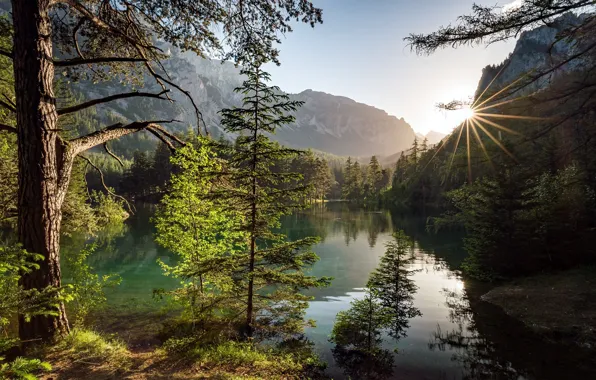 Trees, mountains, lake, Austria, Austria, Alps, Styria, Green Lake