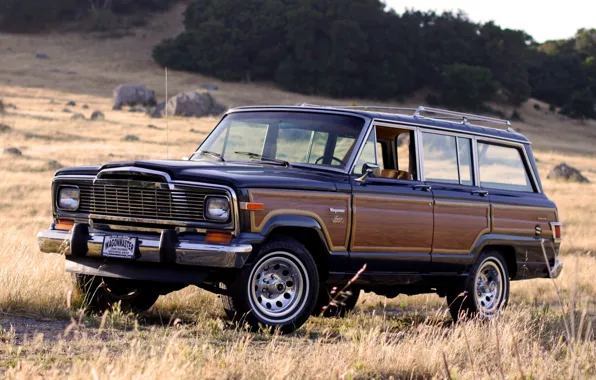 Picture background, SUV, Jeep, the front, Jeep, Limited, 1982, Wagoner